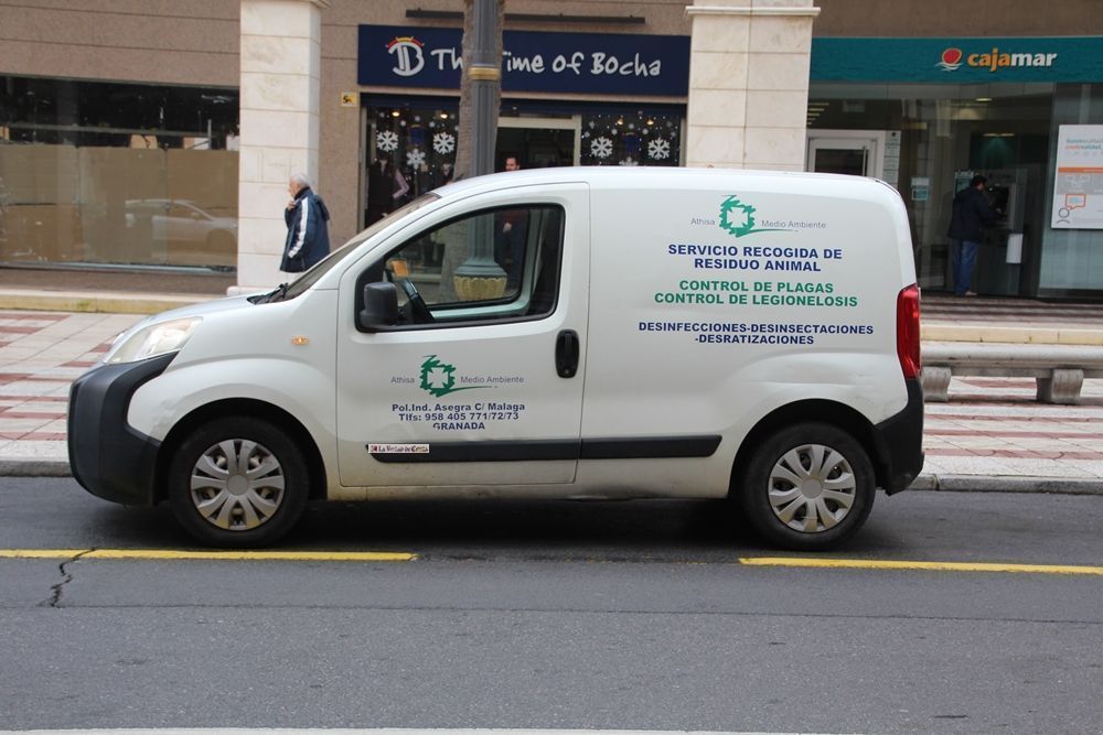 El servicio de control de plagas realiza trabajos de desratización y desinsectación en el centro